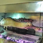 Отель Erotas Агиос-Димитриос