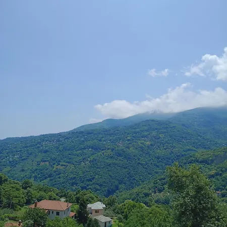 Hotel Erotas
